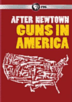 After Newtown : Guns in America / [videorecording (DVD)]