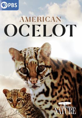 American ocelot [videorecording (DVD)] /