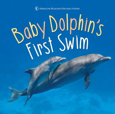 Baby dolphin's first swim /