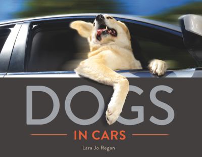 Dogs in cars /
