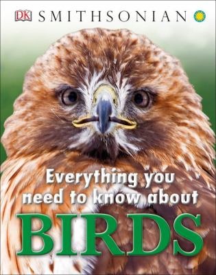 Everything you need to know about birds.