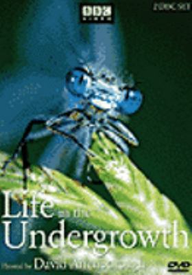 Life in the undergrowth [videorecording (DVD)] /
