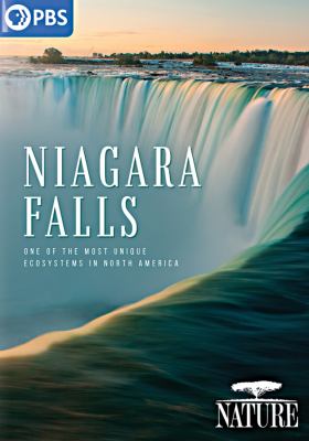 Niagara Falls [videorecording (DVD)] /