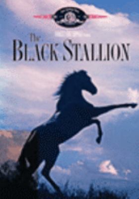The black stallion [videorecording (DVD)] /