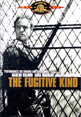 The fugitive kind [videorecording (DVD)] /