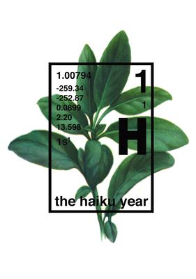 The haiku year /