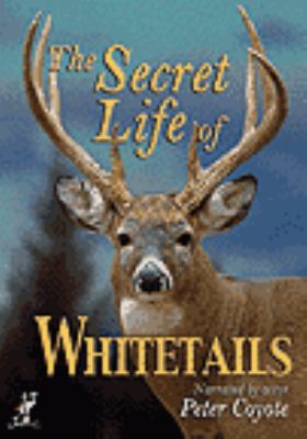 The secret life of whitetails [videorecording (DVD)] /