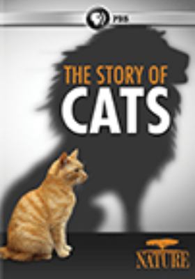 The story of cats [videorecording (DVD)] /