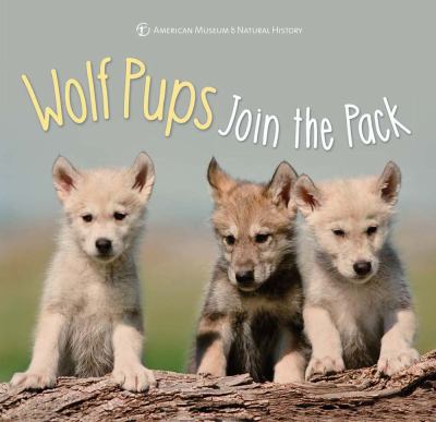 Wolf pups join the pack /