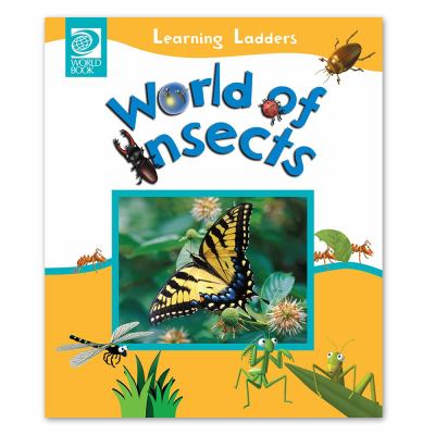 World of insects.