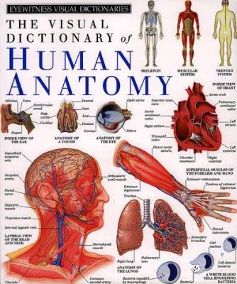 The visual dictionary of human anatomy.