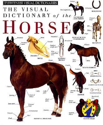The visual dictionary of the horse.