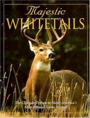 Majestic whitetails /