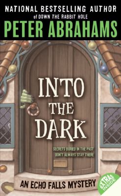 Into the dark : an Echo Falls mystery /