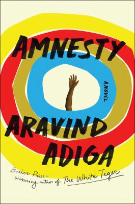 Amnesty : a novel /