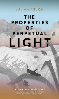 The properties of perpetual light /