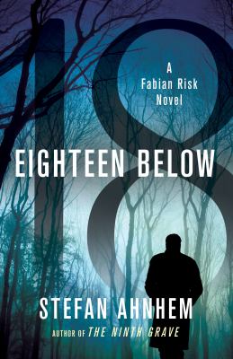 Eighteen below : a Fabian Risk novel /