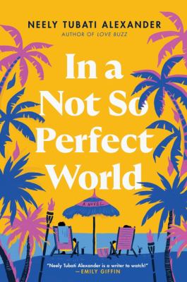 In a not so perfect world : a novel /