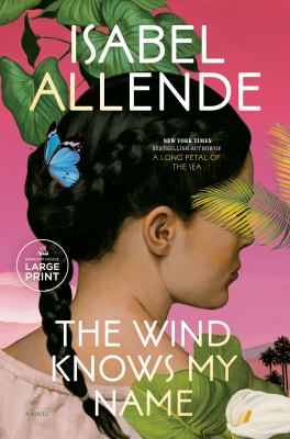 The wind knows my name : a novel [large type] /