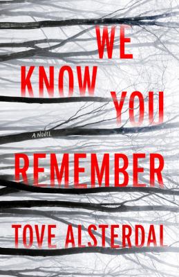We know you remember : a novel /