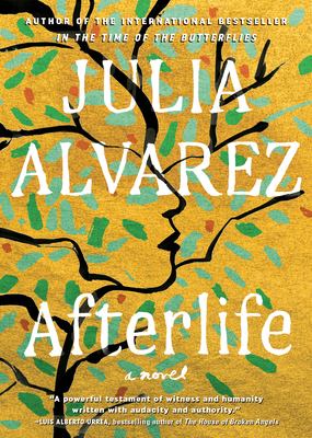 Afterlife : a novel /