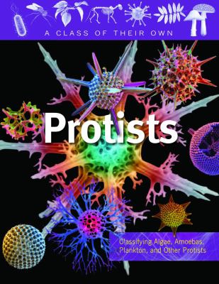Protists : algae, amoebas, plankton, and other protists /