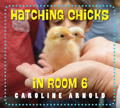 Hatching chicks in room 6 /