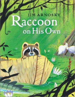 Raccoon on his own /