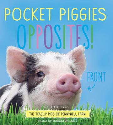 brd Pocket piggies opposites! / Featuring the Teacup Pigs of Pennywell Farm