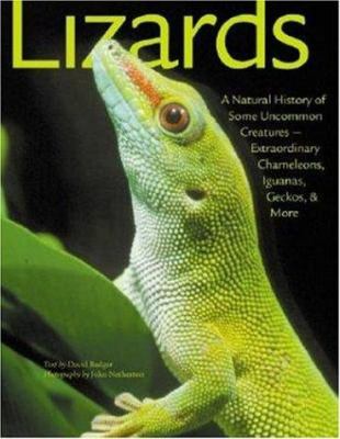 Lizards : a natural history of some uncommon creatures, extraordinary chameleons, iguanas, geckos, and more /