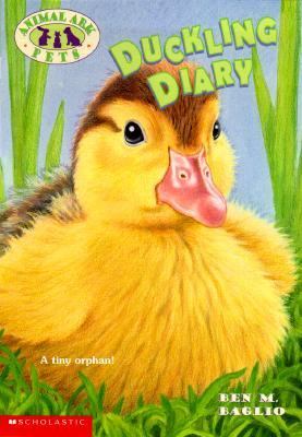 Duckling diary / 10.