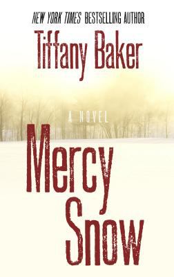 Mercy Snow [large type] : a novel /