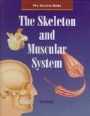The skeleton and muscular system /