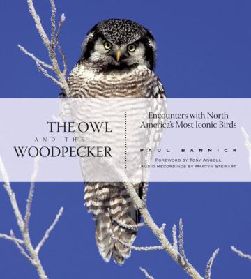 The owl and the woodpecker : encounters with North America's most iconic birds /
