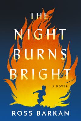 The night burns bright : a novel /