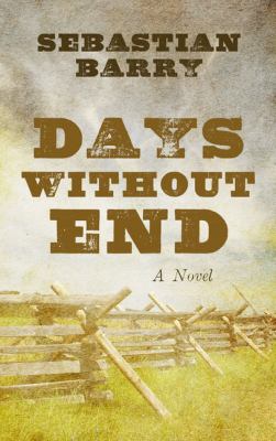 Days without end [large type] : a novel /