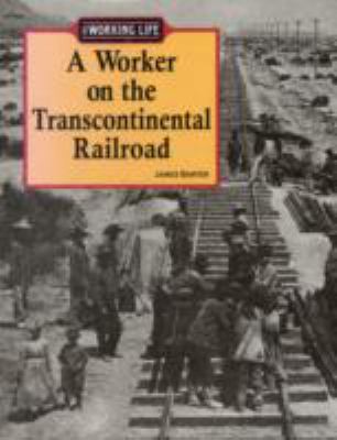 A worker on the transcontinental railroad /