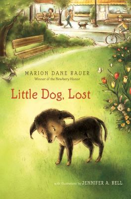 Little dog, lost /