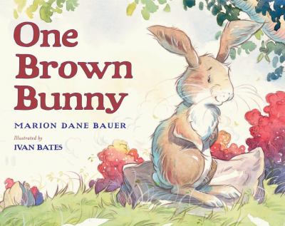 One brown bunny /
