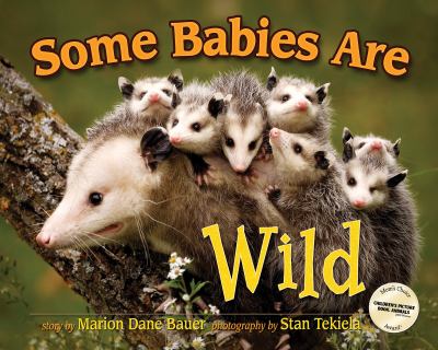Some babies are wild /