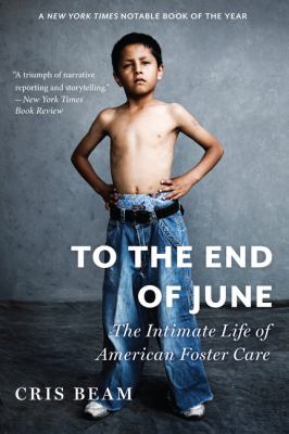 To the end of June : the intimate life of American foster care /