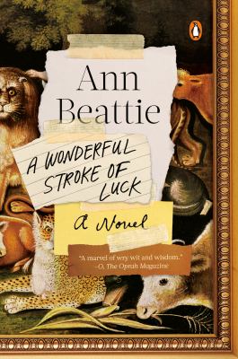 A wonderful stroke of luck [ebook] : A novel.