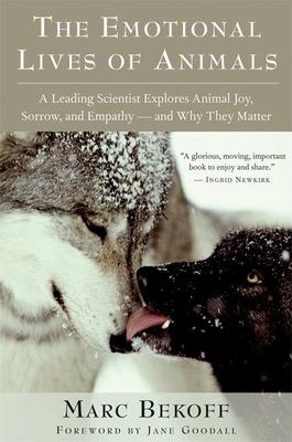 The emotional lives of animals : a leading scientist explores animal joy, sorrow, and empathy--and why they matter /