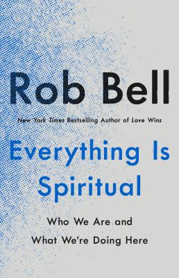Everything is spiritual : who we are and what we're doing here /