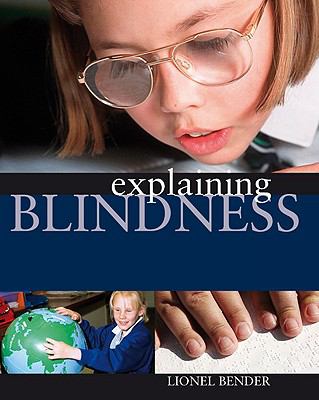 Explaining blindness /