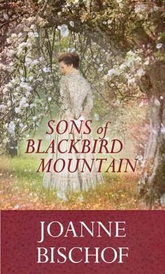 Sons of Blackbird Mountain [large type] : a novel /