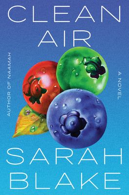 Clean air : a novel /