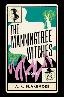 The Manningtree witches : a novel /