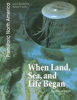 When land, sea, and life began : the Precambrian /