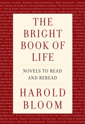 The bright book of life : novels to read and reread /